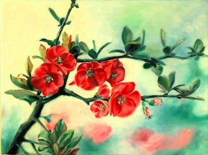 Flores vermelhas da primavera