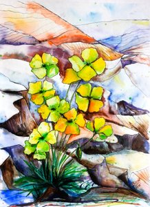 Flores vibrantes da montanha de Anda Bieza