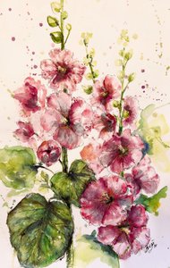 Malvas-rosa vibrantes de Anda Bieza