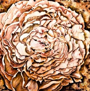 Flor de peónia quente de Anda Bieza
