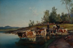 Vacas junto ao mar de Anders Askevold