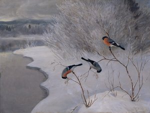 Tribunais de Anders Kongsrud
