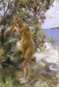 Depois do banho de Anders Leonard Zorn