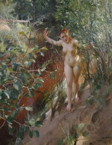 Areia Vermelha de Anders Leonard Zorn