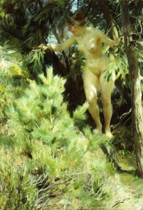 Sprite-madeira, 1892 de Anders Leonard Zorn