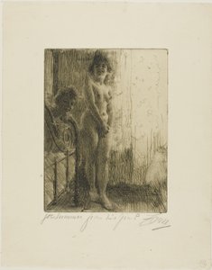 Um canto escuro de Anders Leonard Zorn