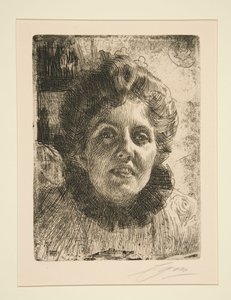  de Anders Zorn