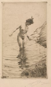 Círculos de Água II de Anders Leonard Zorn