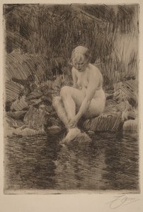  de Anders Zorn