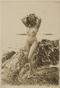 Hårtång (coroa de algas marinhas) de Anders Zorn