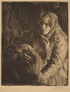  de Anders Zorn