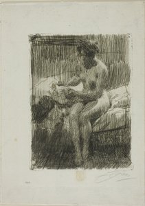 Leitura do modelo de Anders Leonard Zorn