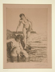 Na ilha de Hemso de Anders Leonard Zorn