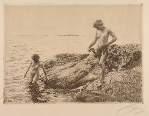 Skerries à beira-mar de Anders Leonard Zorn