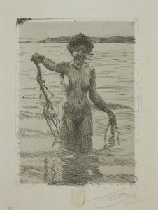 Algas marinhas de Anders Leonard Zorn