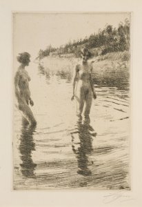  de Anders Zorn
