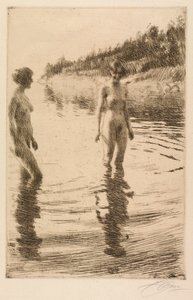 Rasa de Anders Leonard Zorn