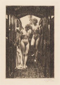  de Anders Zorn
