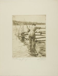 A cerca de Anders Leonard Zorn