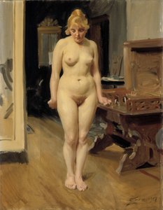  de Anders Zorn