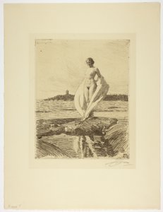 O cisne de Anders Leonard Zorn
