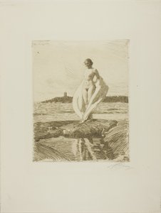 O cisne de Anders Leonard Zorn