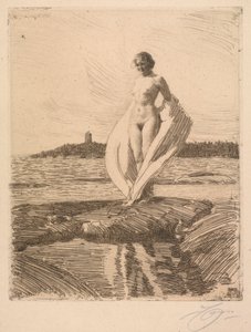 O cisne de Anders Leonard Zorn