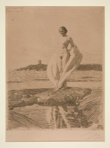 O Cisne de Anders Leonard Zorn
