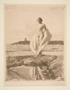 O cisne de Anders Leonard Zorn