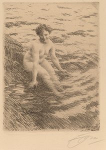 Molhada de Anders Leonard Zorn