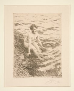 Molhado de Anders Leonard Zorn
