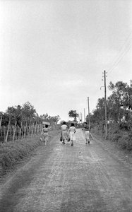 UVAS AMARGAS - EM DIRECÇÃO AO POSTO ATRIBUÍDO de Ando Gilardi