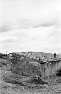 CAMPO DE CROTONE - CABANA E CELEIRO,