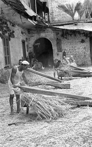 TRANSFORMAÇÃO DO CÂNHAMO, MACIULLATURA