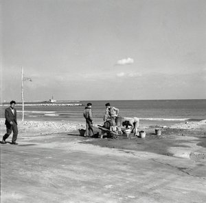 DISTRITO DE TRABALHO de Ando Gilardi