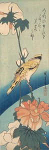 A Oriole Black-Naped em uma haste de Rose Mallow, ca. 1834., c. 1834. de Ando Hiroshige