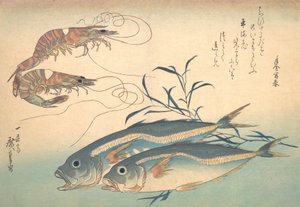 Aji Fish e Kuruma-ebi, da série Uozukushi Every Variety of Fish, década de 1830., década de 1830.