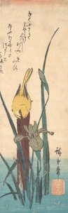 Pássaro e Íris. de Ando Hiroshige