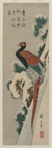 Faisão de cobre pela cachoeira nevado, 1830s atrasados ou 1840s adiantados. de Ando Hiroshige