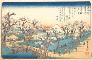 Brilho da noite na fronteira de Koganei, século XIX. de Ando Hiroshige