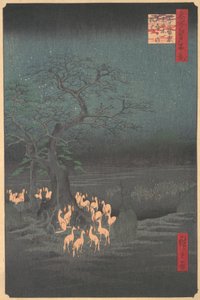 Encontro das Raposas em Oji, 1857., 1857.