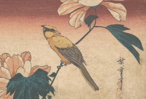 Hibiscus Mutabilis e Jay, ca. 1840., c. 1840. de Ando Hiroshige