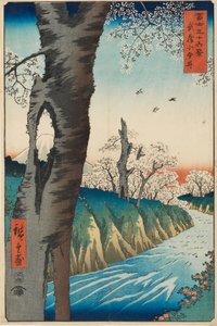 Koganei na província de Musashi, projetado 1858, publicado 1858-1859 de Ando Hiroshige