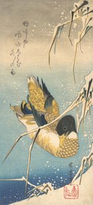 Pato-real e juncos cobertos de neve, ca. 1832., c. 1832. de Ando Hiroshige