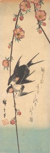 Pera em flor e andorinhas, ca. 1840., c. 1840. de Ando Hiroshige