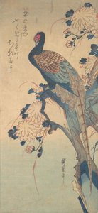Faisão com Crisântemos, ca. 1835., c. 1835. de Ando Hiroshige