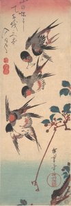 Andorinhas e Cereja Selvagem, ca. 1834., c. 1834. de Ando Hiroshige