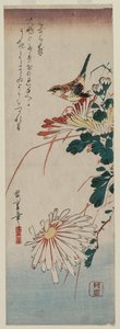 Toutinegra e crisântemos, meados da década de 1830. de Ando Hiroshige