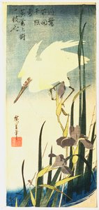Garça-real e íris brancas, 1833 de Ando Hiroshige