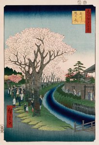 "Flores de cerejeira, aterro do rio Tama" de Ando or Utagawa Hiroshige